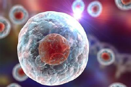 Babio ngluncurake solusi BIEMSA berkualitas tinggi kanggo diagnosik cytogenetic lan hematologis cytogenetic lan hematologis cytogenetic lan hematologis cytogenetic lan hematologis sing cryogetic