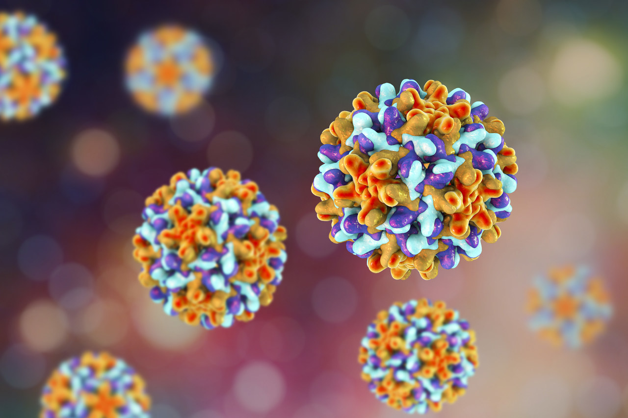 Babi Lancar kit Tinggi Adenovirus Antigen High-Performance kanggo ketemu panjaluk global