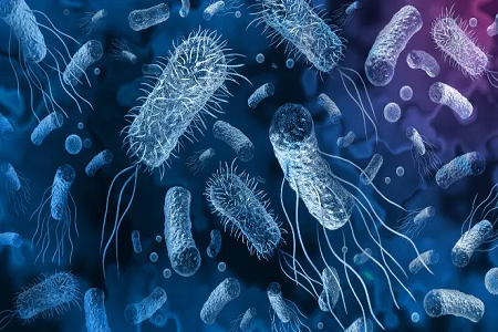Babio ngluncurake kit Deteksi Rapid Vibrio Cholerae Rapid