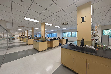 Babi iki ngenalake botol budaya getih sing maju kanggo ngiyatake diagnosa infeksi global