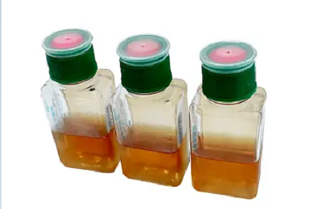 Botol Kultur Darah BABIO Ndhukung Deteksi Infeksi Aliran Darah sing Luwih Cepet lan Bisa Dipercaya
