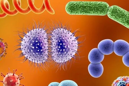 BABIO ngluncurake Medium Pengayaan Salmonella Shigella kanggo Transportasi Patogen Enterik sing Bisa Dipercaya