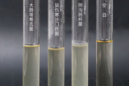 Babio Bioteknologi Ngluncurake Duduh Infus Jantung Otak Kinerja Tinggi kanggo Kultur Mikroba sing Bisa Dipercaya