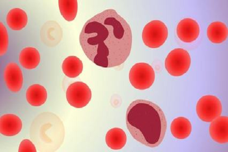 BABIO Salmonella Shigella Transport Medium kanggo Labs