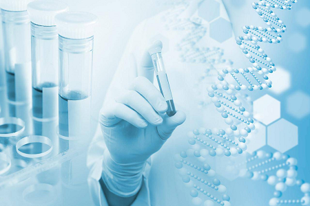 H. pylori IgG/IgM Test Kit: Rapid Antibodi Screening Solution