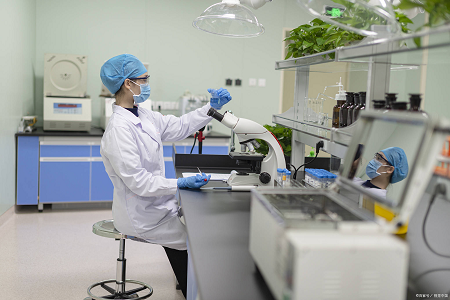Banyu Peptone Buffered: Wiwitan sing Bisa Dipercaya kanggo Tes Salmonella
